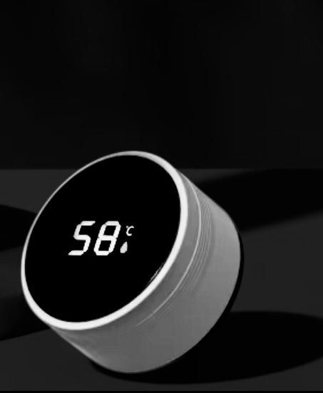 Led Temperature Display Thermos Bottle